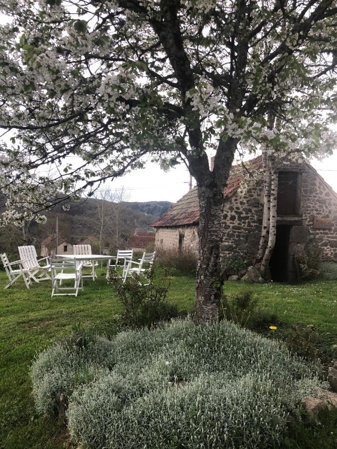 Maison D'Hotes Ourdeaux Et Gite Chez Rouchon Alleyrat  Exterior foto